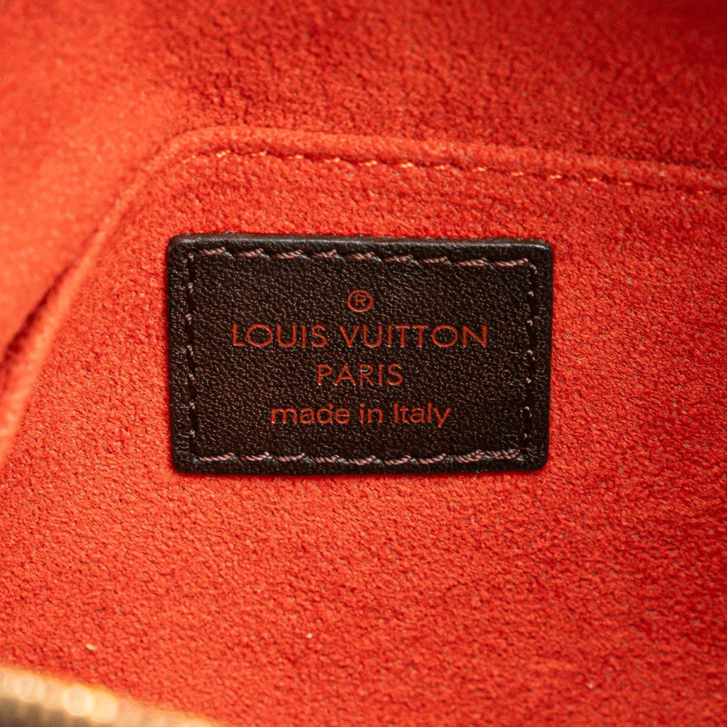 Louis Vuitton Damier Sauvage Tigre