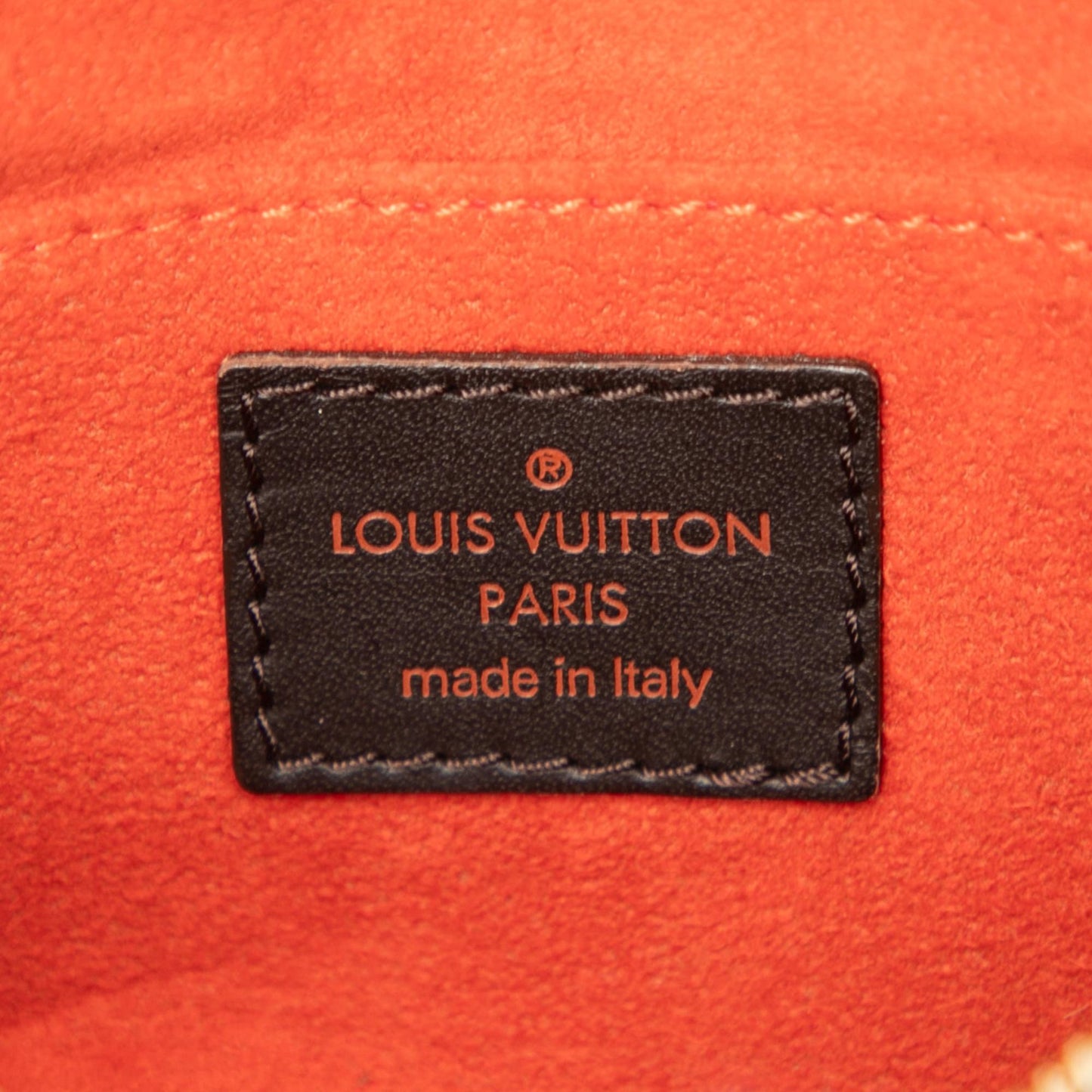 Louis Vuitton Damier Sauvage Tigre