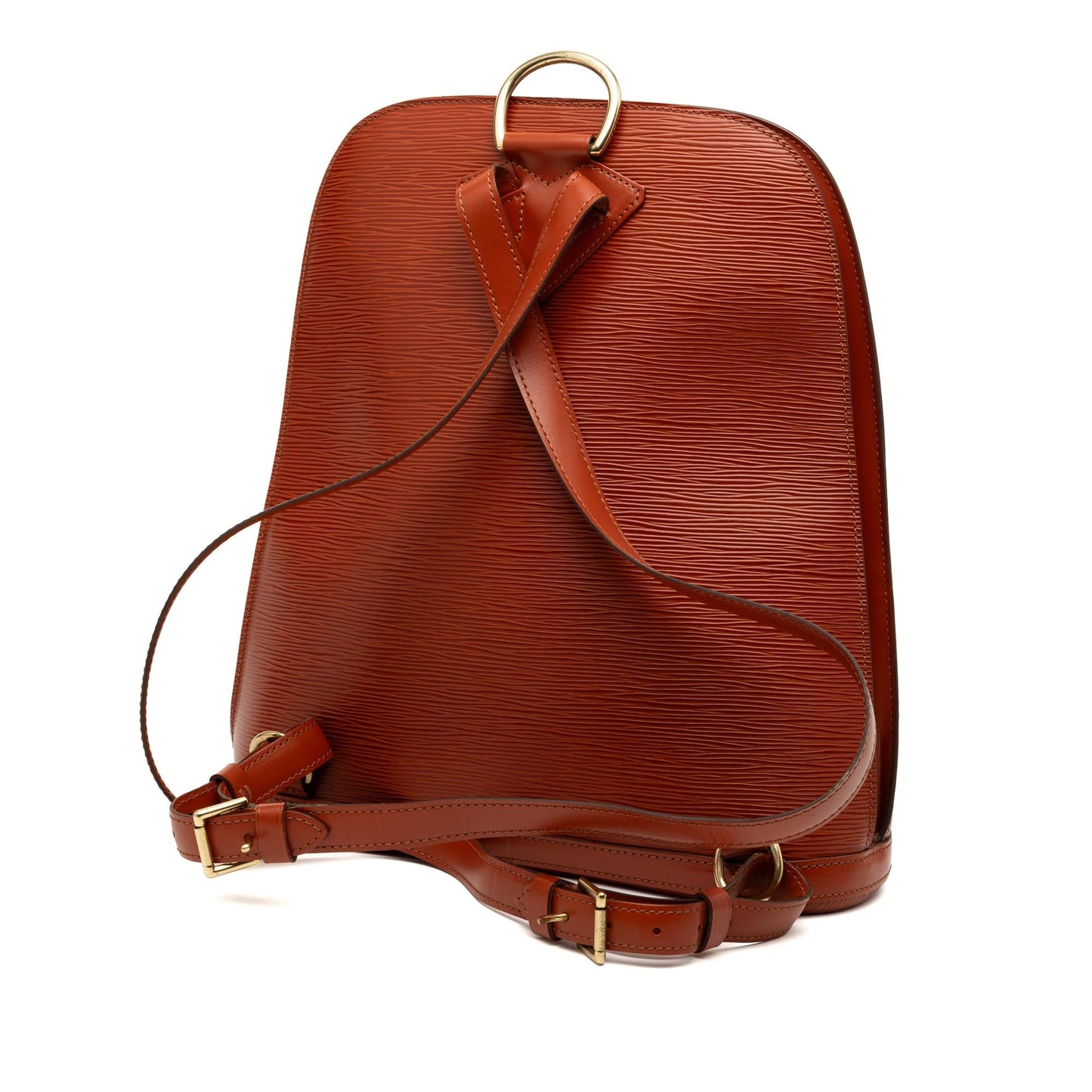 Louis Vuitton Epi Gobelins