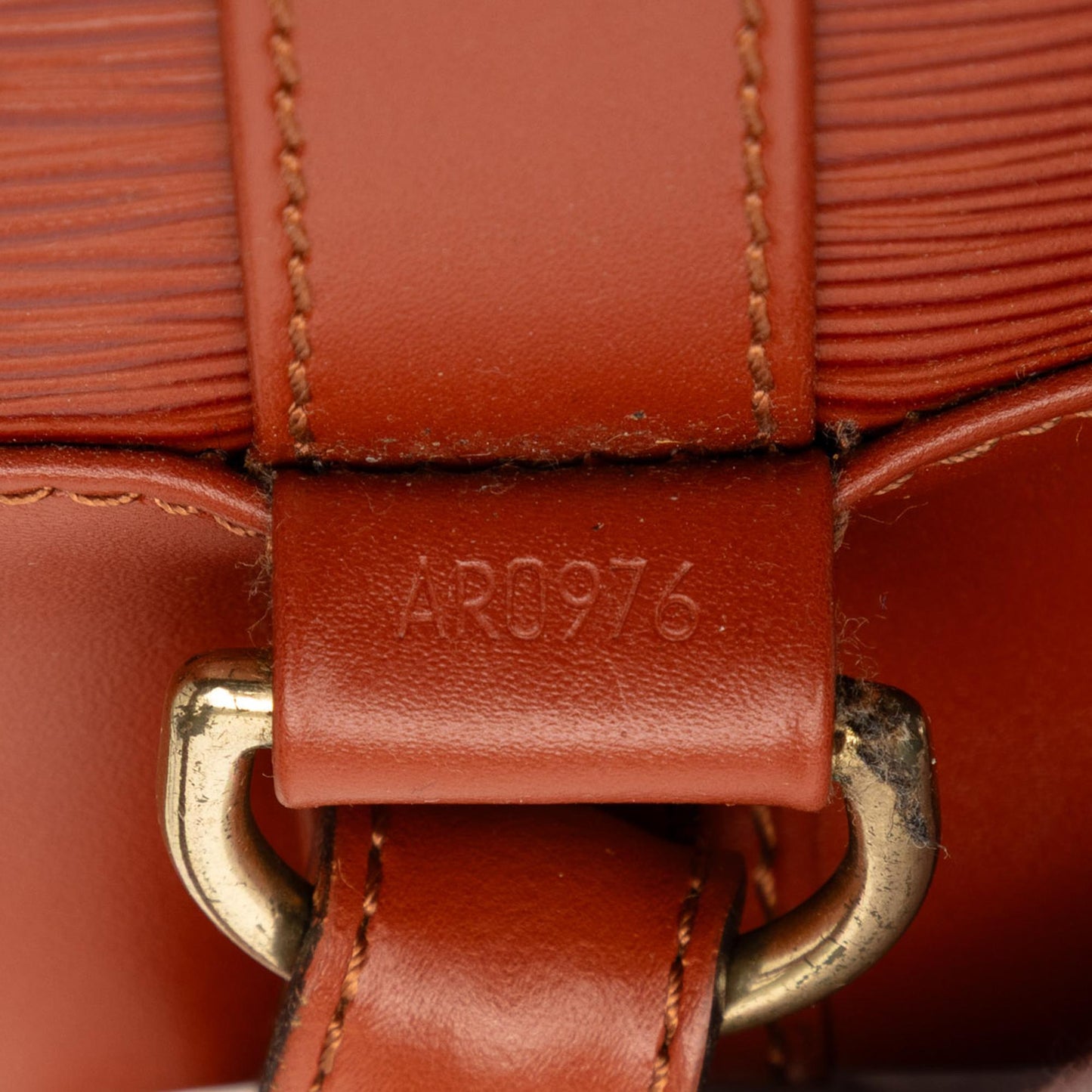 Louis Vuitton Epi Randonnee PM