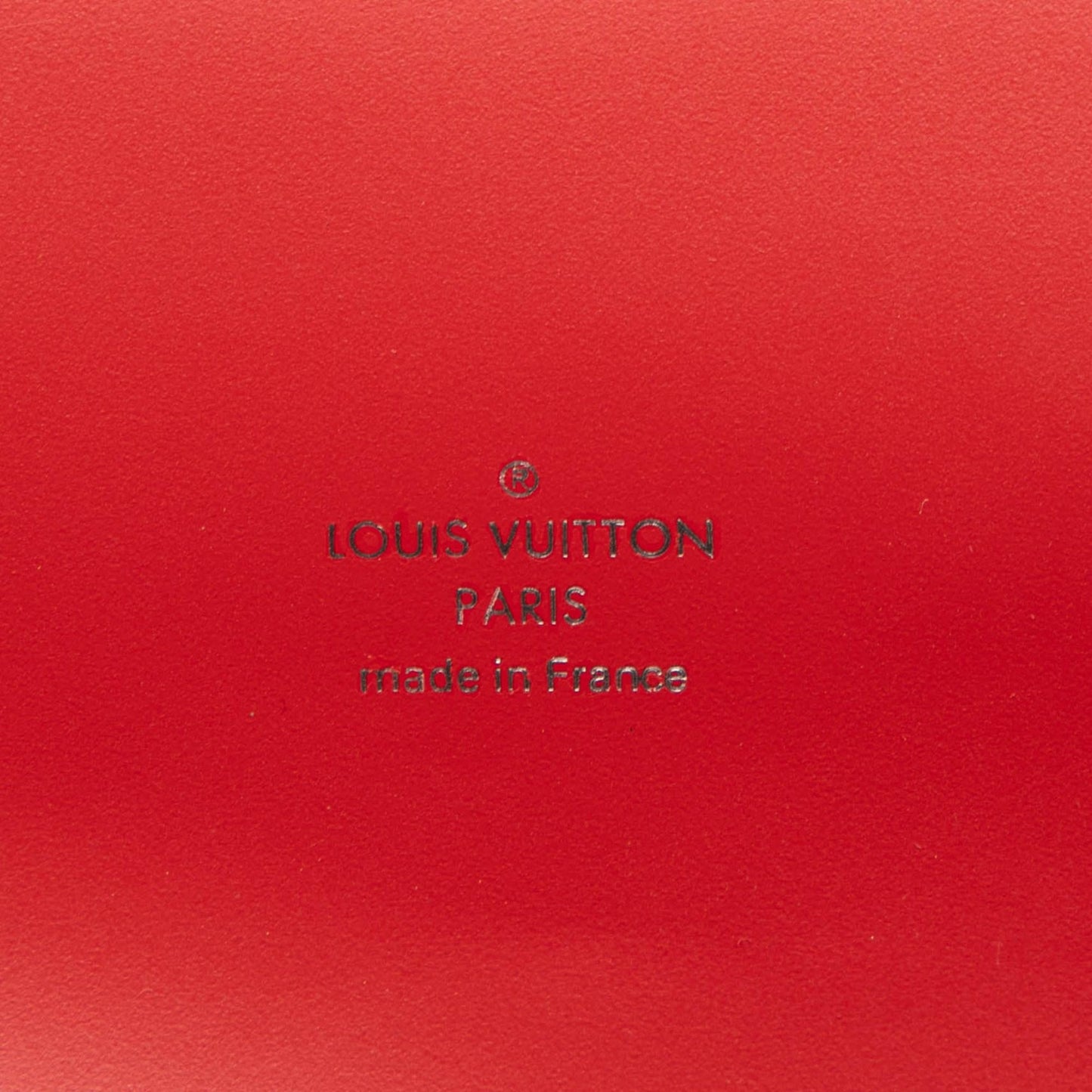 Louis Vuitton Epi Sevigne Clutch