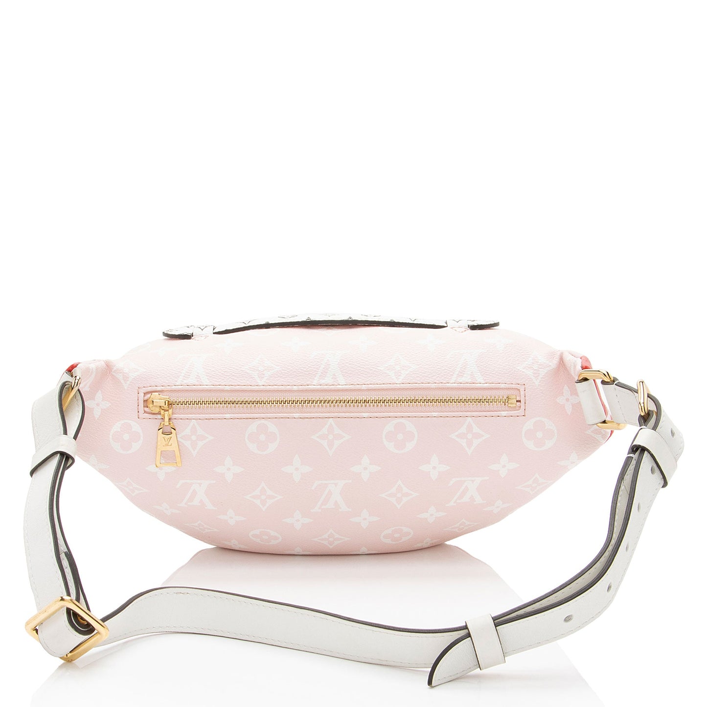 Louis Vuitton Giant Monogram Canvas Bumbag