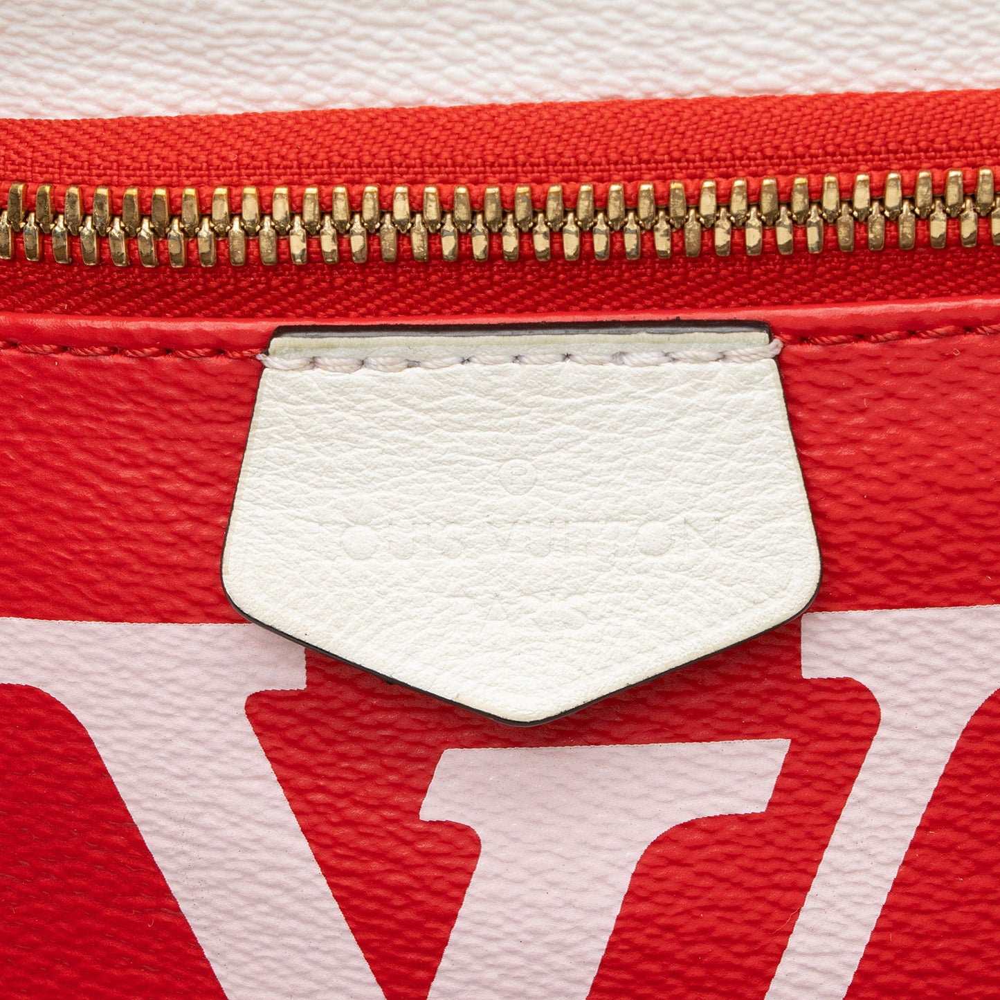 Louis Vuitton Giant Monogram Canvas Bumbag