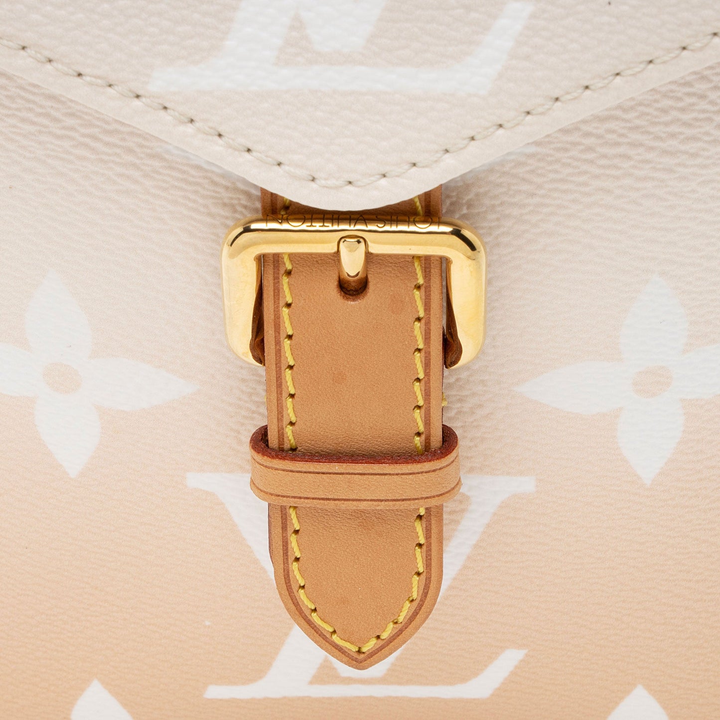 Louis Vuitton Giant Monogram Canvas By The Pool Tiny Backpack