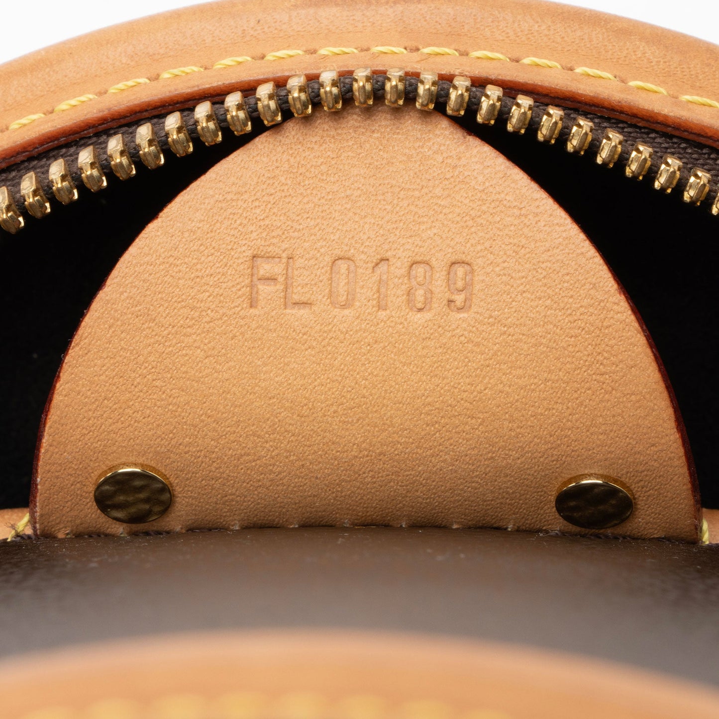 Louis Vuitton Giant Monogram Canvas Cannes Shoulder Bag