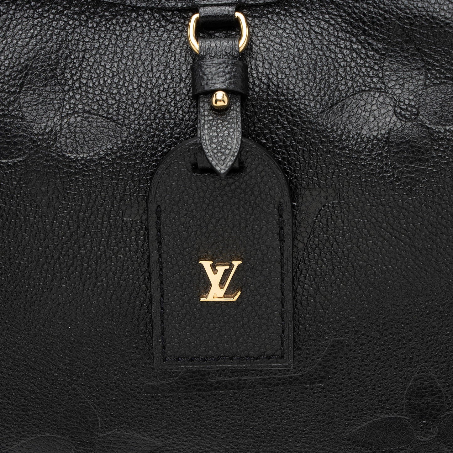 Louis Vuitton Giant Monogram Empreinte CarryAll PM Shoulder Bag