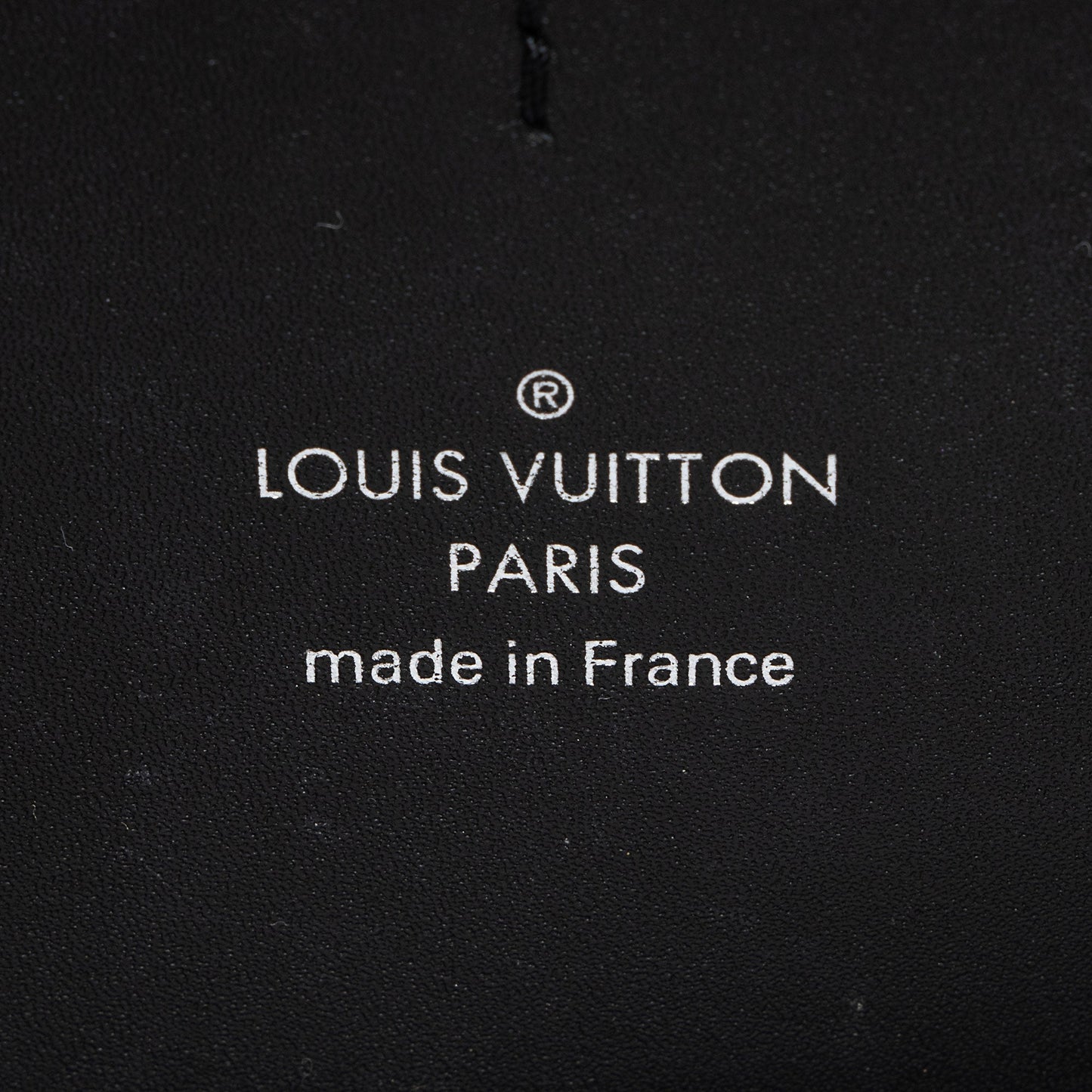 Louis Vuitton Giant Reverse Monogram Canvas Dauphine Belt Bag