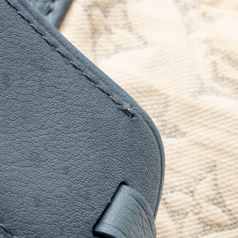 Louis Vuitton Limited Edition Blue Monogram Denim Speedy Round Bag -  (SHF-19800)
