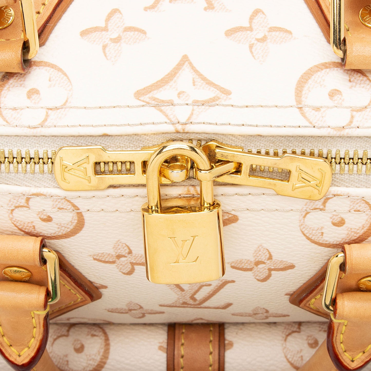 Louis Vuitton Limited Edition Monogram Canvas Fall For Speedy Bandouliere 25 Satchel