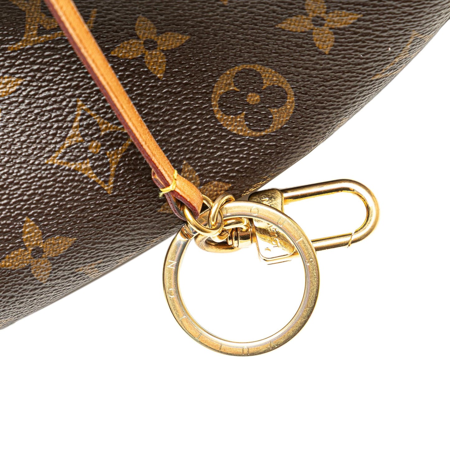 Louis Vuitton Monogram Artsy MM
