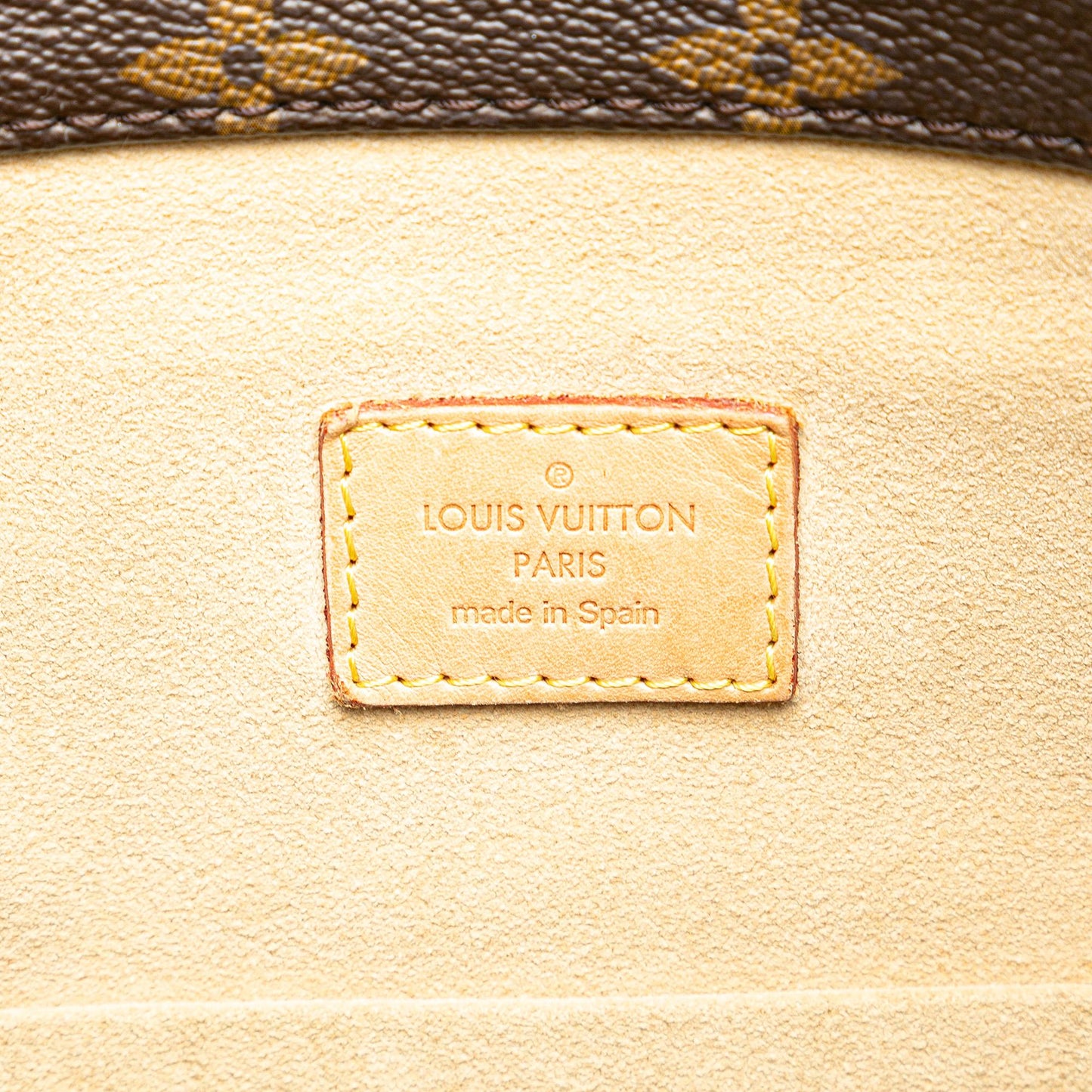 Louis Vuitton Monogram Artsy MM