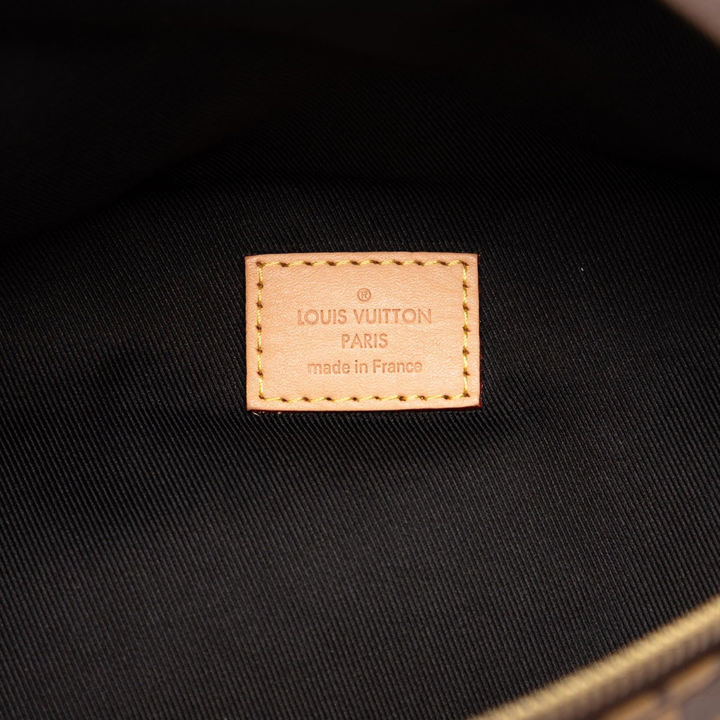Louis Vuitton Monogram Bumbag