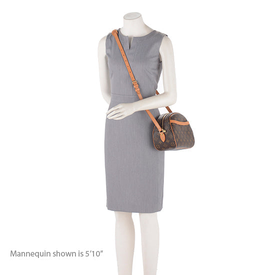 Louis Vuitton Monogram Canvas Blois Shoulder Bag -  (SHF-18910)