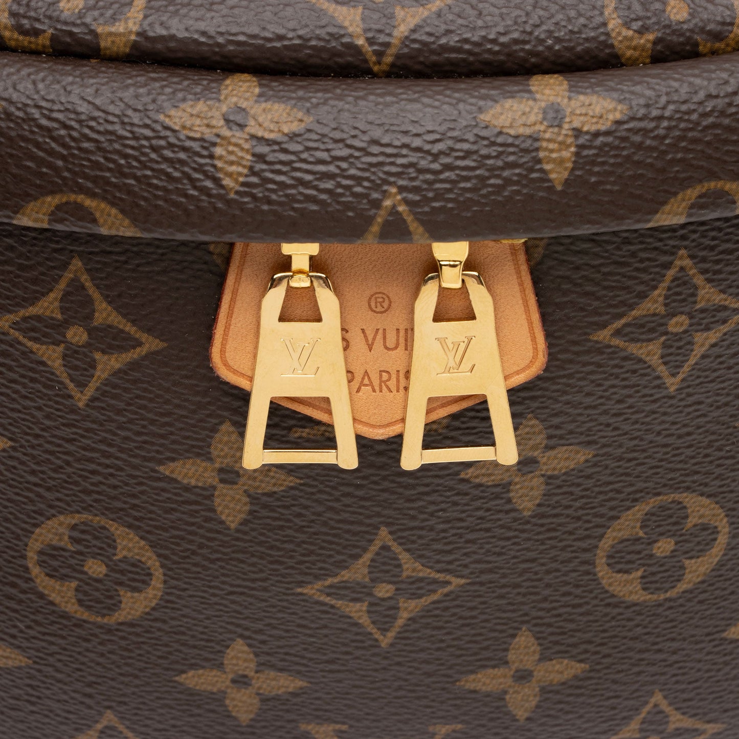 Louis Vuitton Monogram Canvas Bumbag (SHF-NGDAHd)