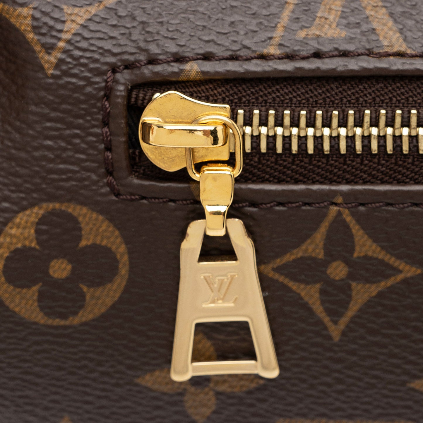 Louis Vuitton Monogram Canvas Bumbag (SHF-NGDAHd)