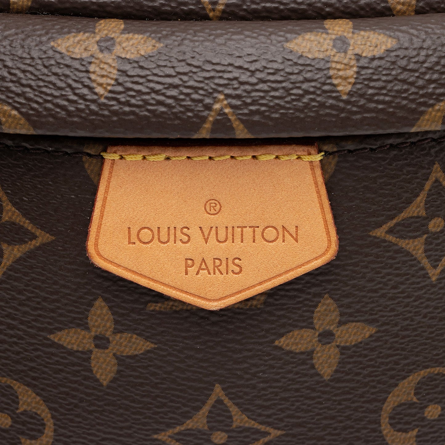 Louis Vuitton Monogram Canvas Bumbag (SHF-NGDAHd)