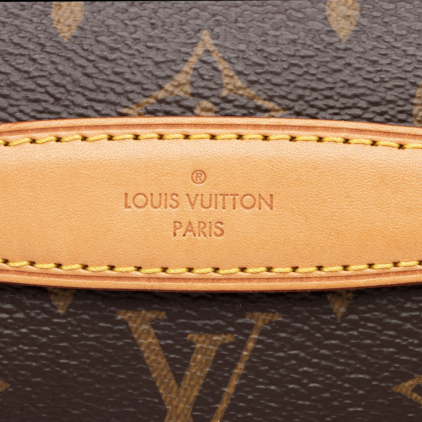 Louis Vuitton Monogram Canvas Bumbag (SHF-NGDAHd)