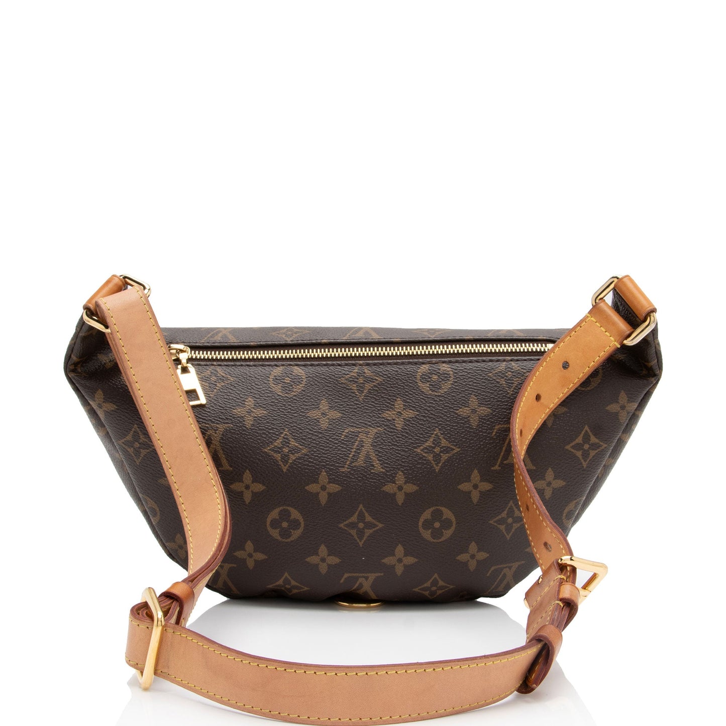 Louis Vuitton Monogram Canvas Bumbag (SHF-BfWtHC)