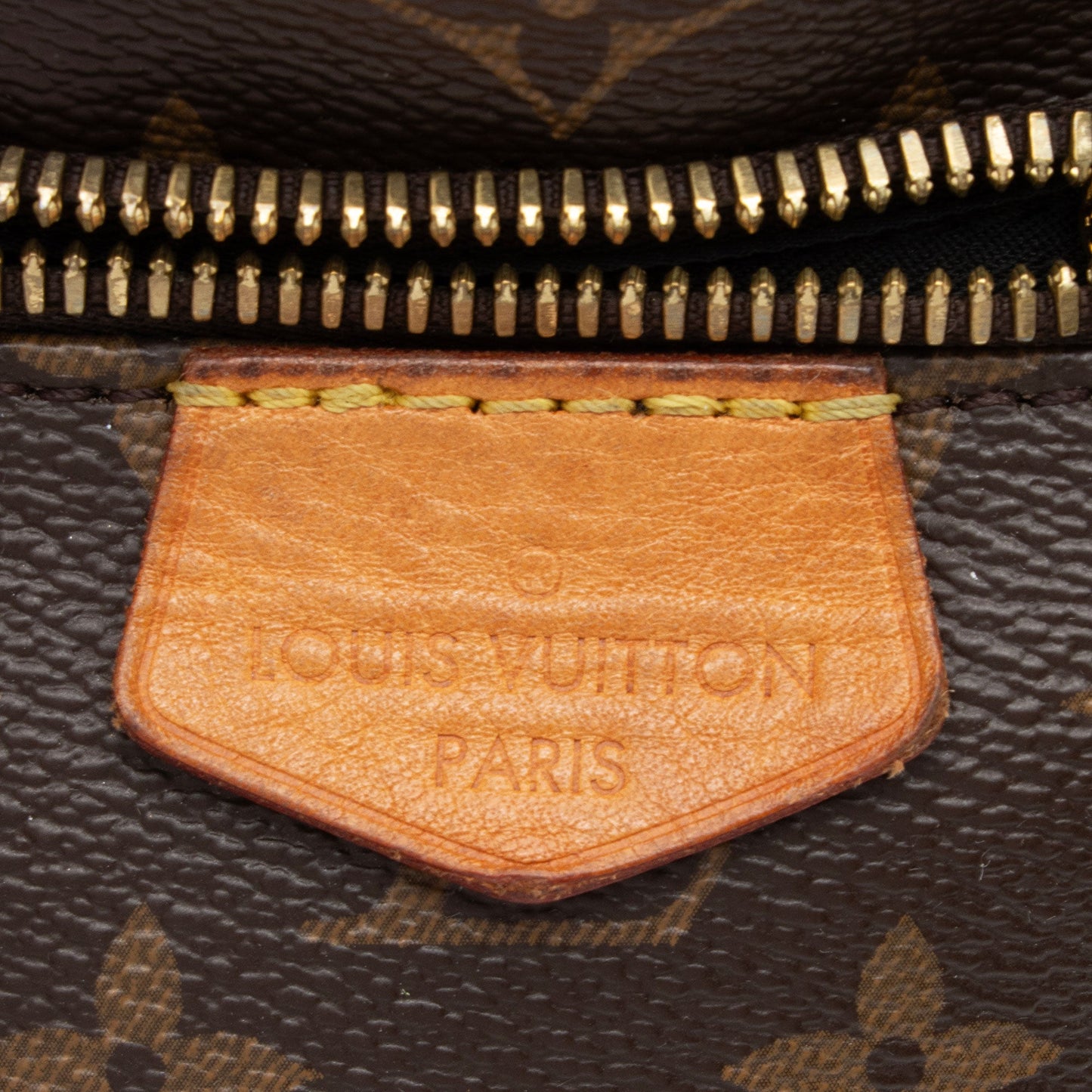 Louis Vuitton Monogram Canvas Bumbag (SHF-BfWtHC)