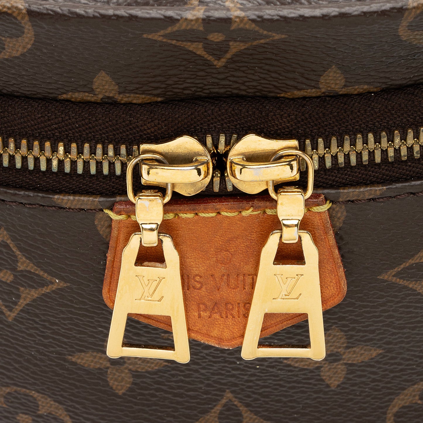 Louis Vuitton Monogram Canvas Bumbag (SHF-w6VOvH)