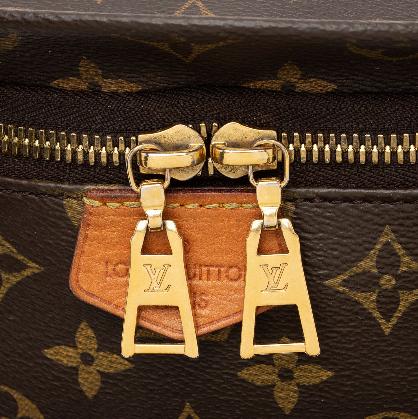 Louis Vuitton Monogram Canvas Bumbag (SHF-nLrjfi)