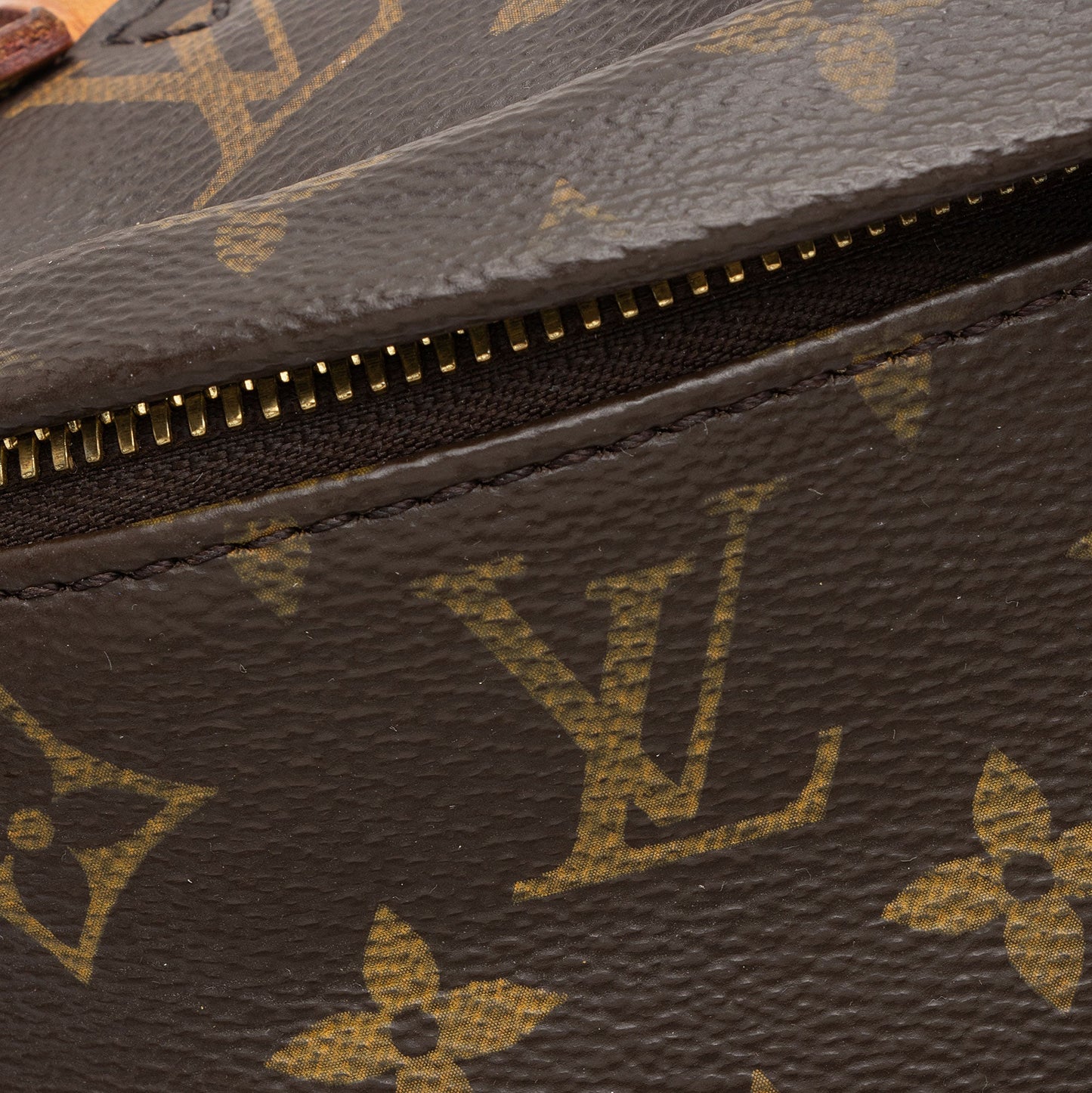 Louis Vuitton Monogram Canvas Bumbag (SHF-nLrjfi)