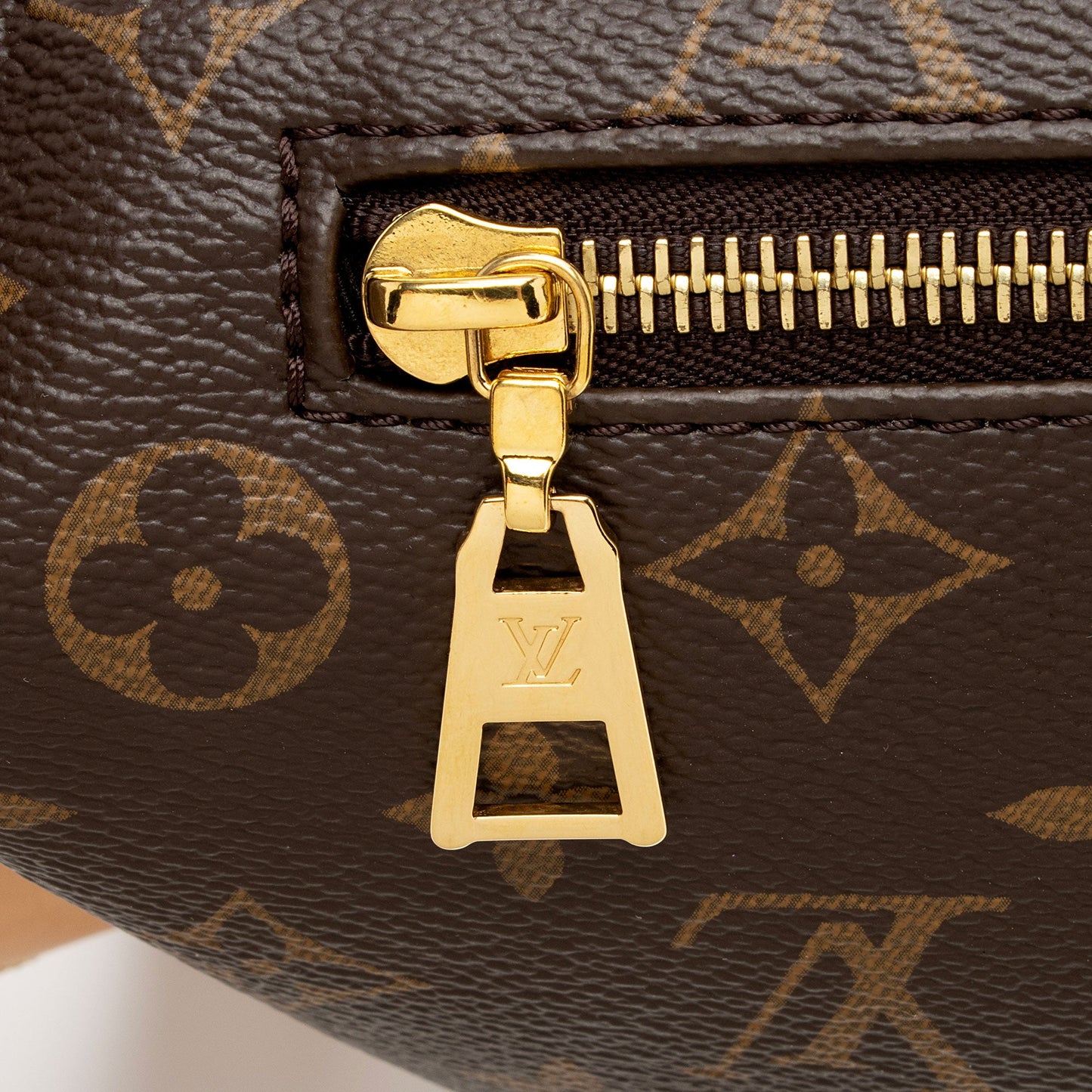 Louis Vuitton Monogram Canvas Bumbag (SHF-T9KBHb)