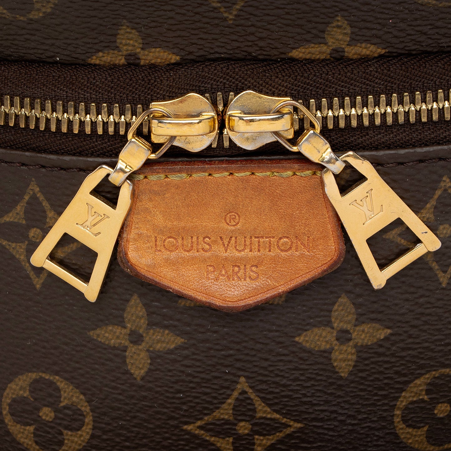 Louis Vuitton Monogram Canvas Bumbag (SHF-un1rC9)