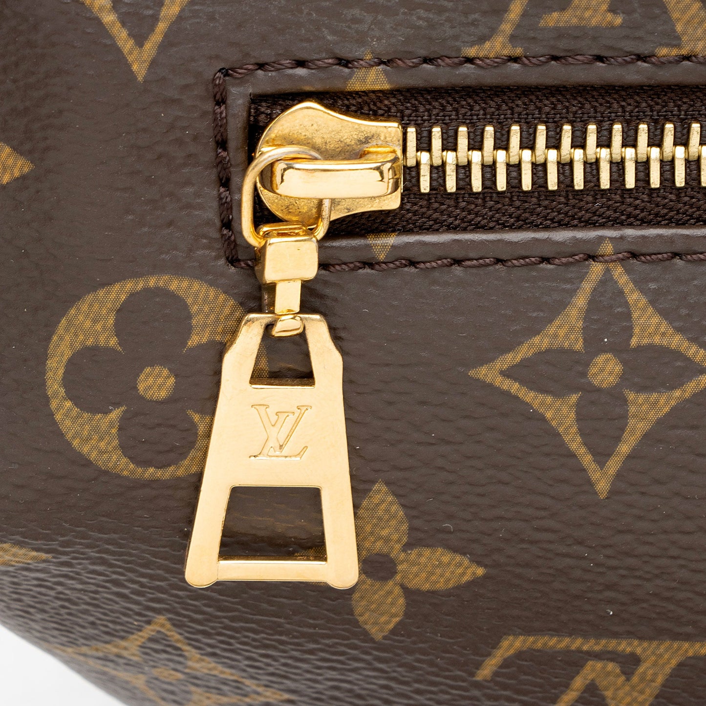 Louis Vuitton Monogram Canvas Bumbag