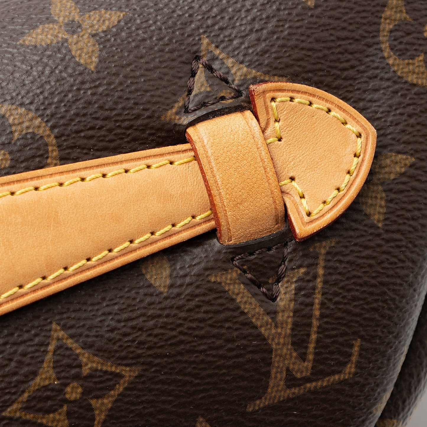 Louis Vuitton Monogram Canvas Bumbag