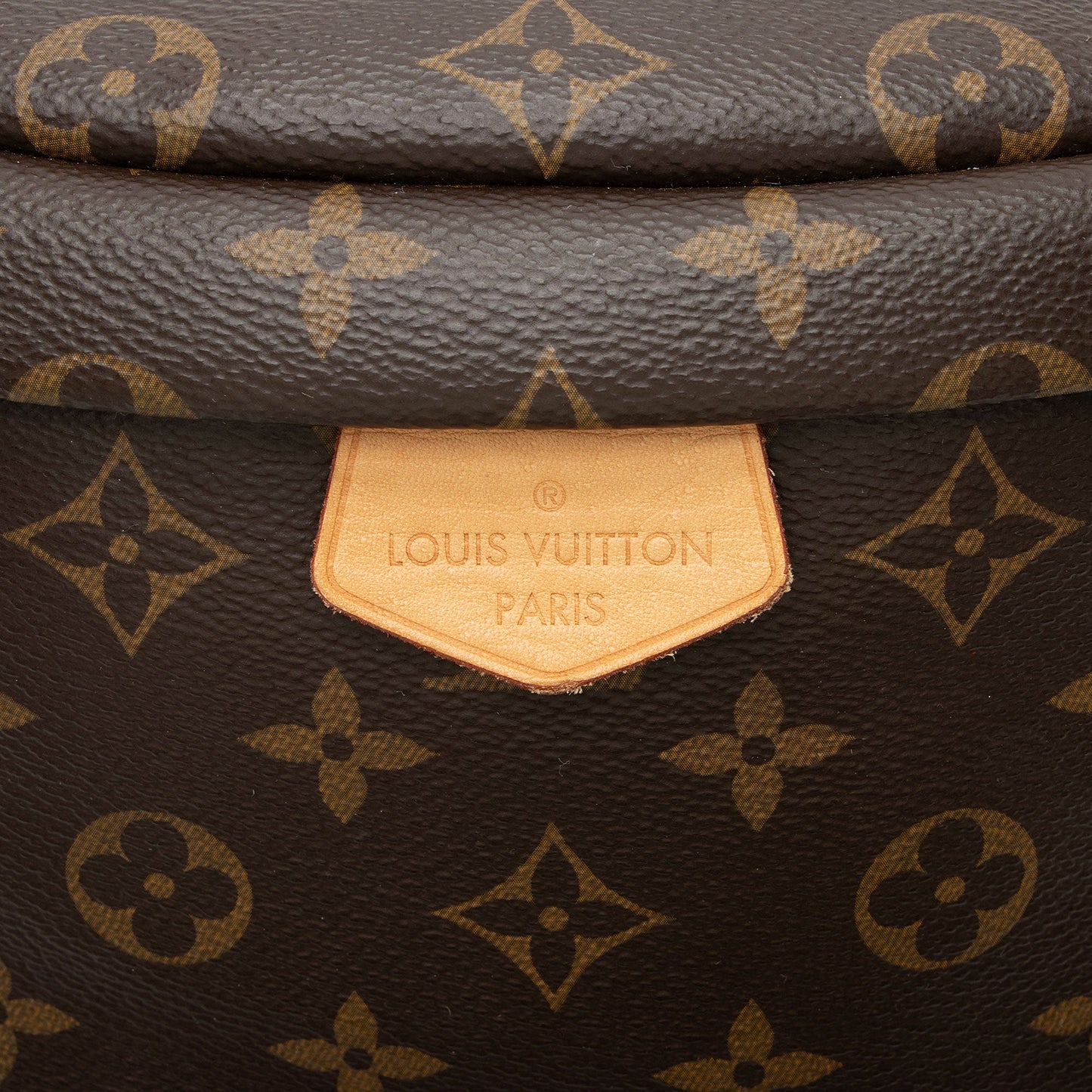 Louis Vuitton Monogram Canvas Bumbag