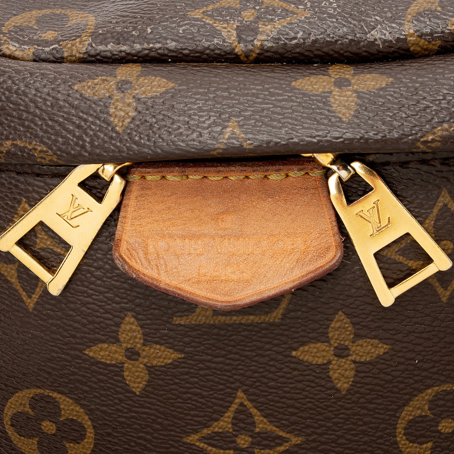 Louis Vuitton Monogram Canvas Bumbag