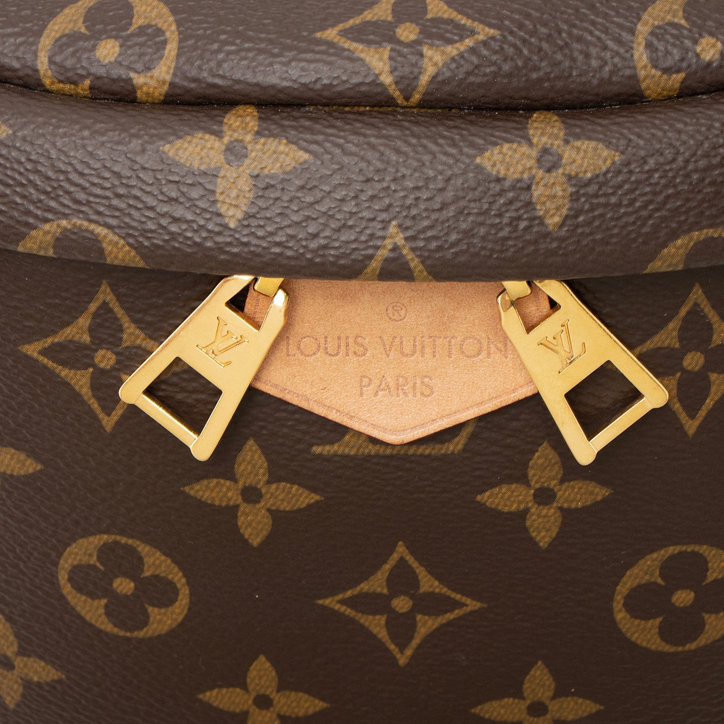 Louis Vuitton Monogram Canvas Bumbag