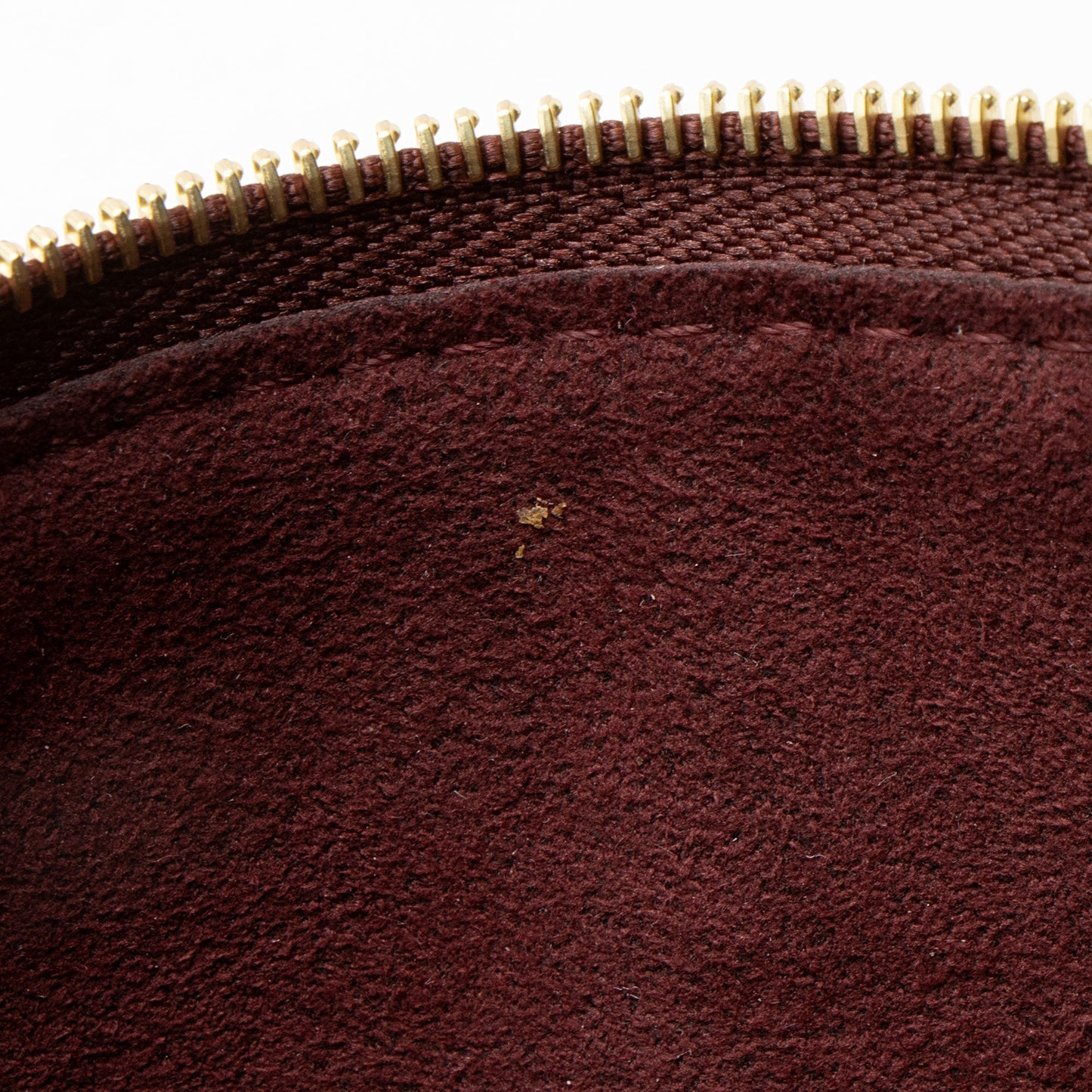 Louis Vuitton Monogram Canvas CarryAll PM Pochette