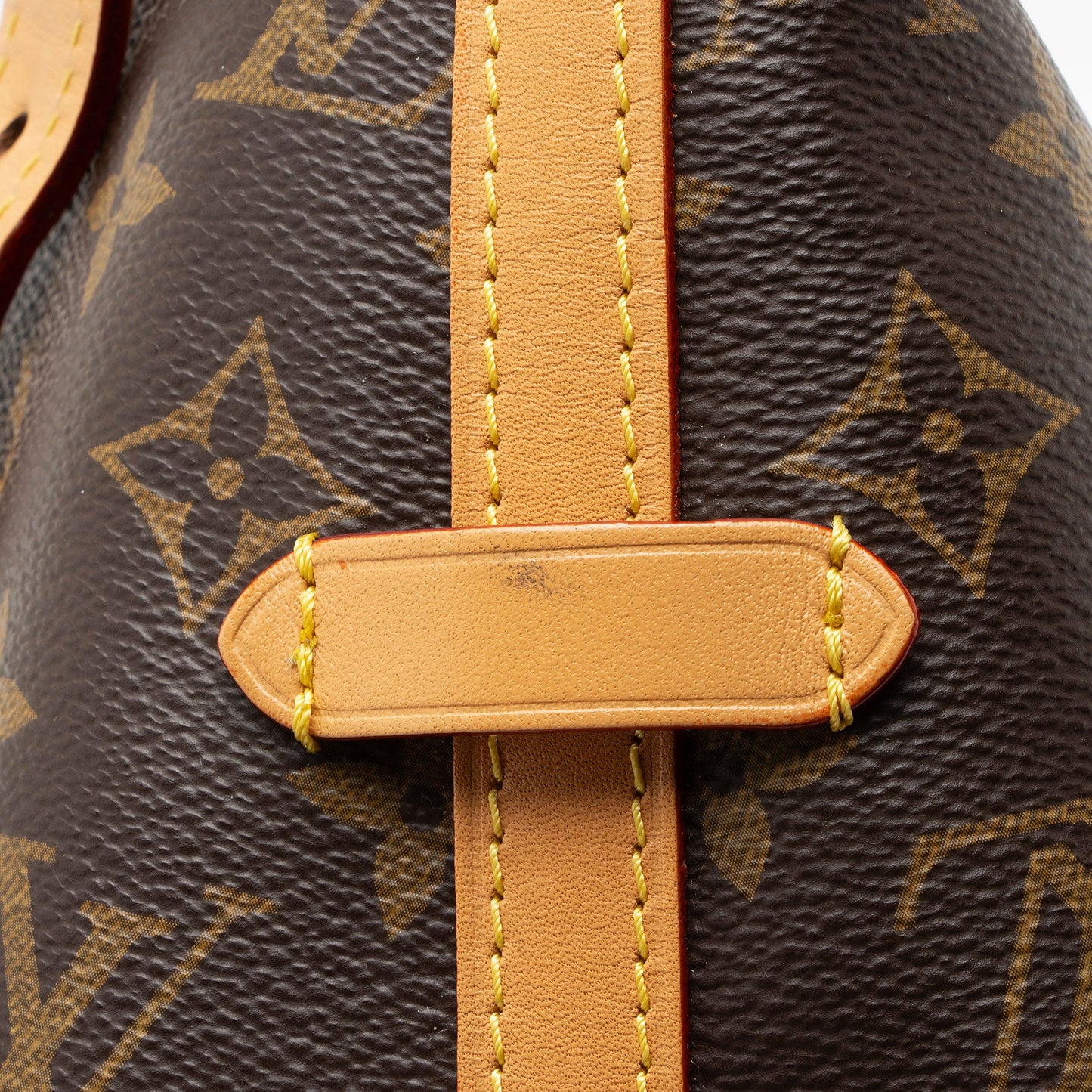 Louis Vuitton Monogram Canvas CarryAll PM Shoulder Bag