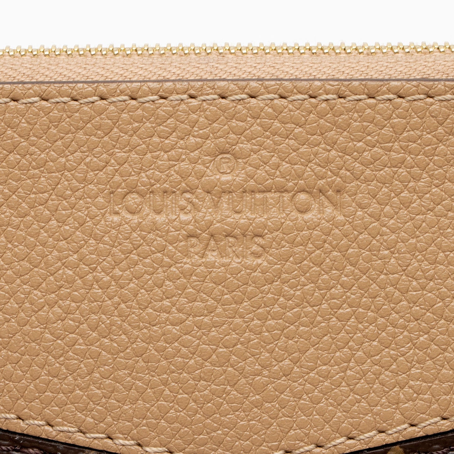Louis Vuitton Monogram Canvas Daily Pouch