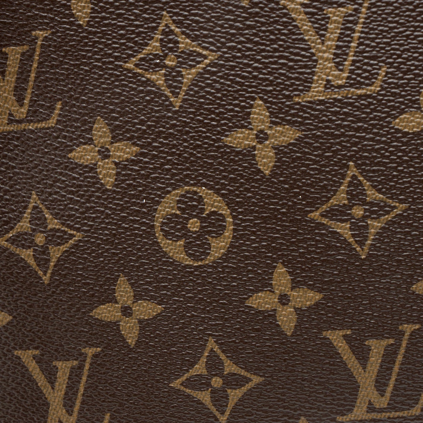 Louis Vuitton Monogram Canvas Daily Pouch