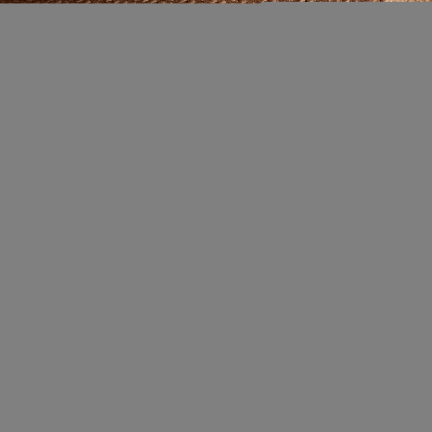 Louis Vuitton Monogram Canvas Delightful MM Shoulder Bag