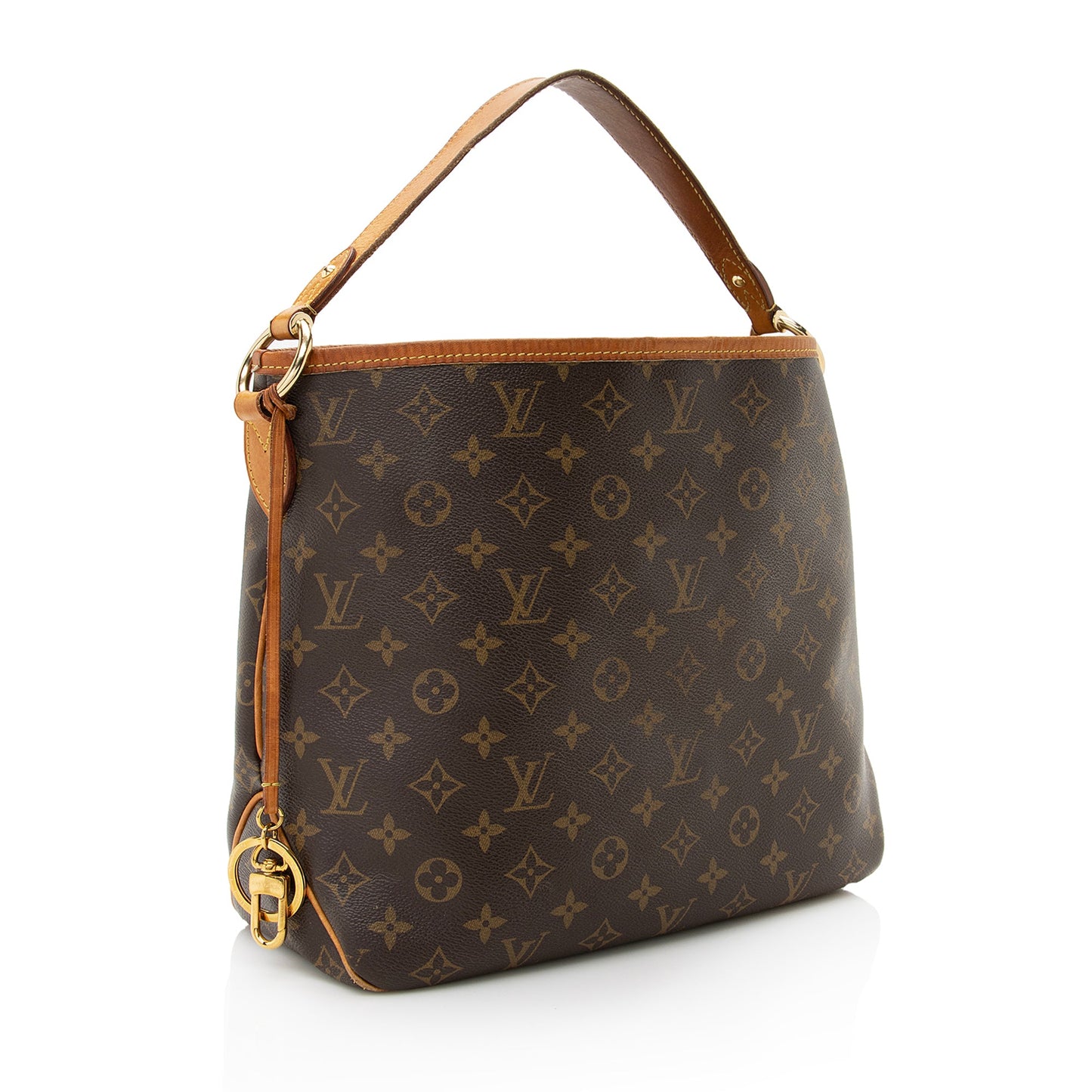 Louis Vuitton Monogram Canvas Delightful PM Shoulder Bag (SHF-22510)
