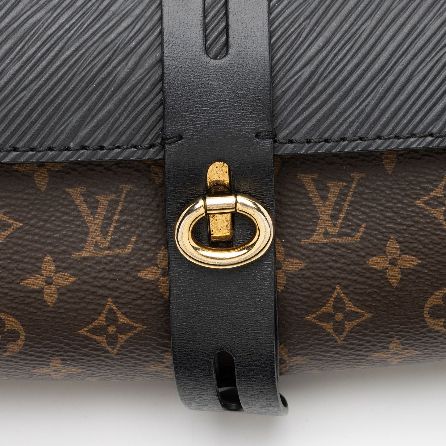 Louis Vuitton Monogram Canvas Epi Leather Glasses Case Bag