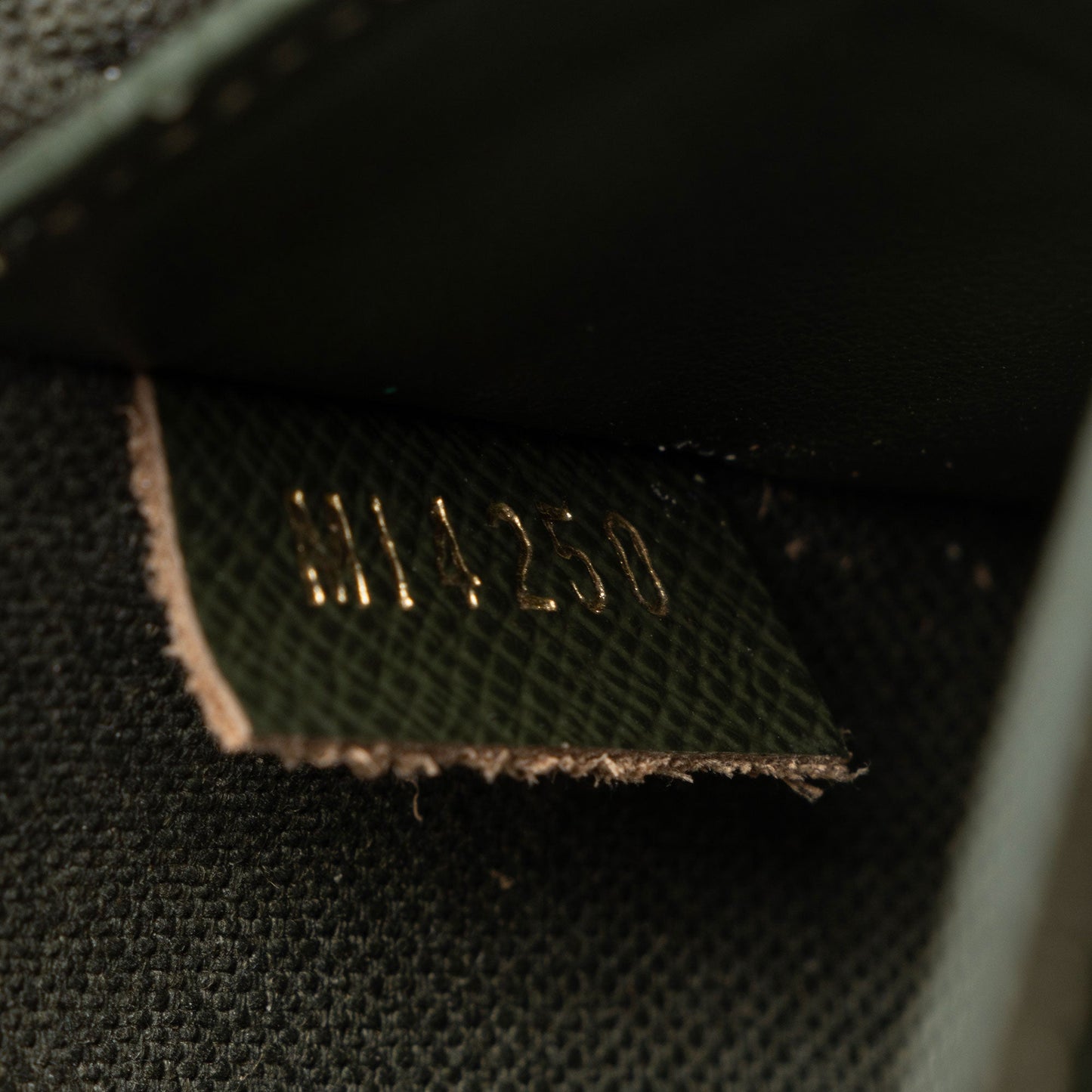Louis Vuitton Monogram Canvas Felicie Strap & Go Crossbody