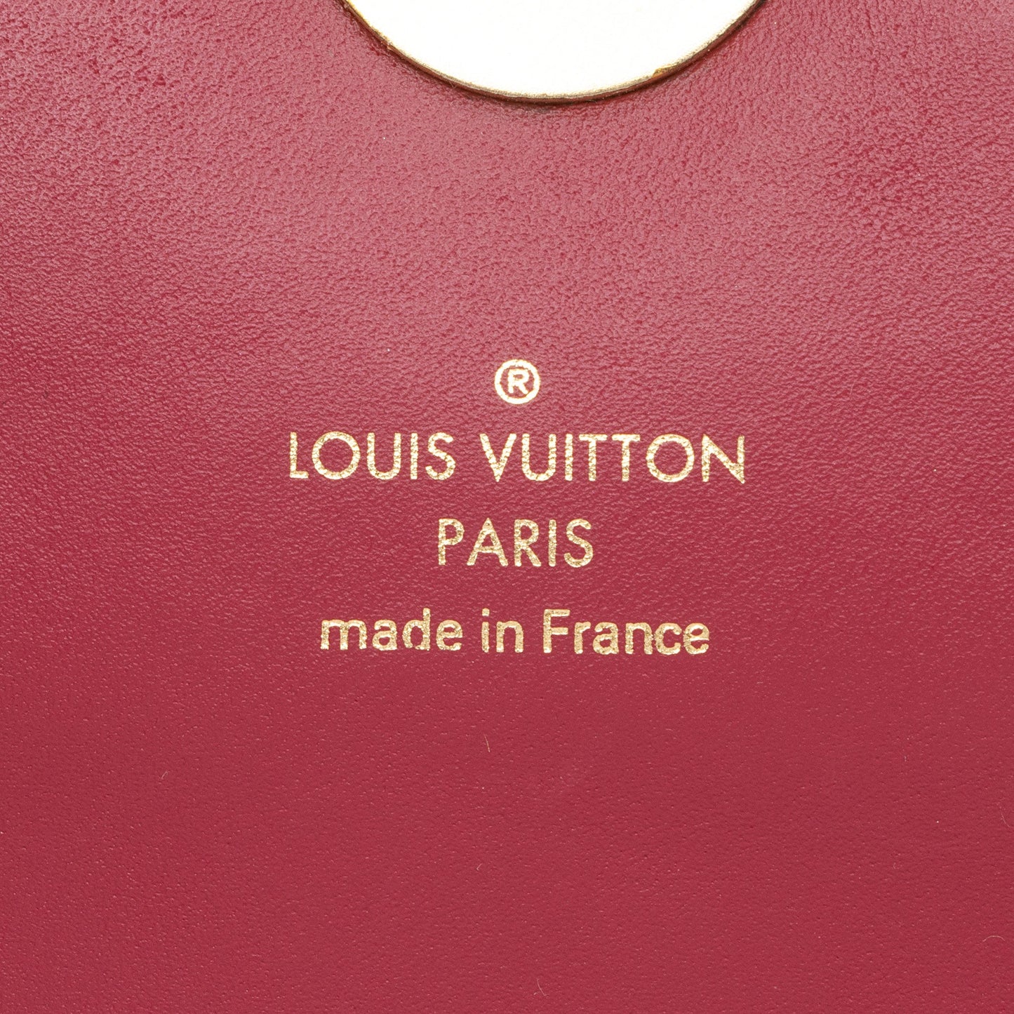 Louis Vuitton Monogram Canvas Flore Chain Wallet (SHF-atcBim)