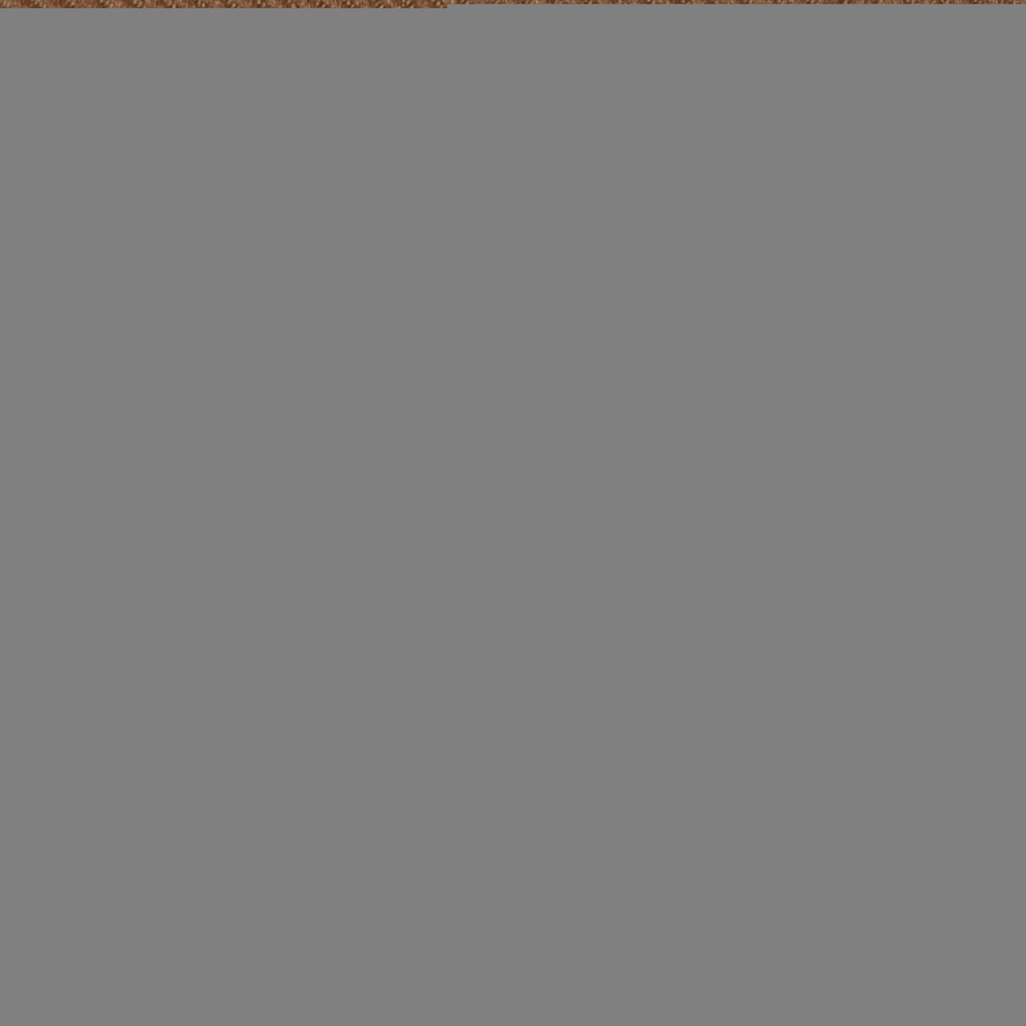 Louis Vuitton Monogram Canvas Graceful MM Hobo