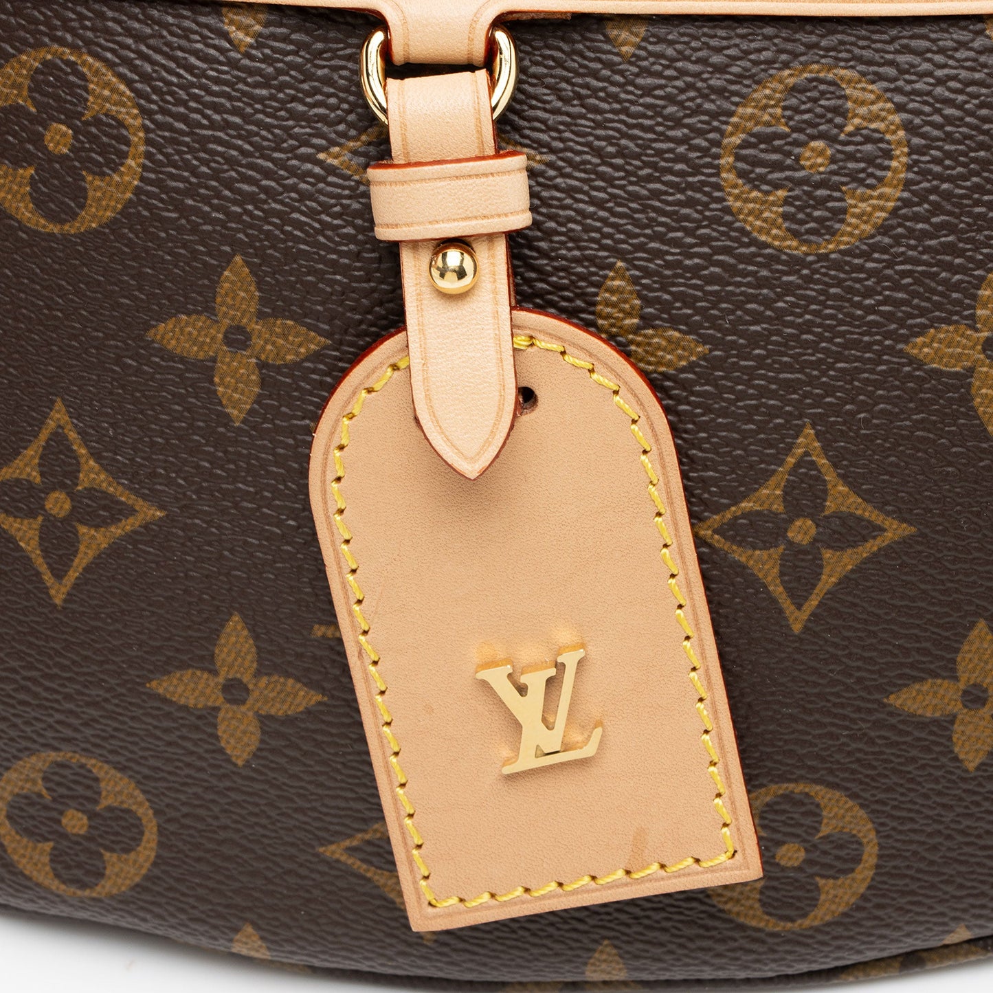Louis Vuitton Monogram Canvas High Rise Bumbag