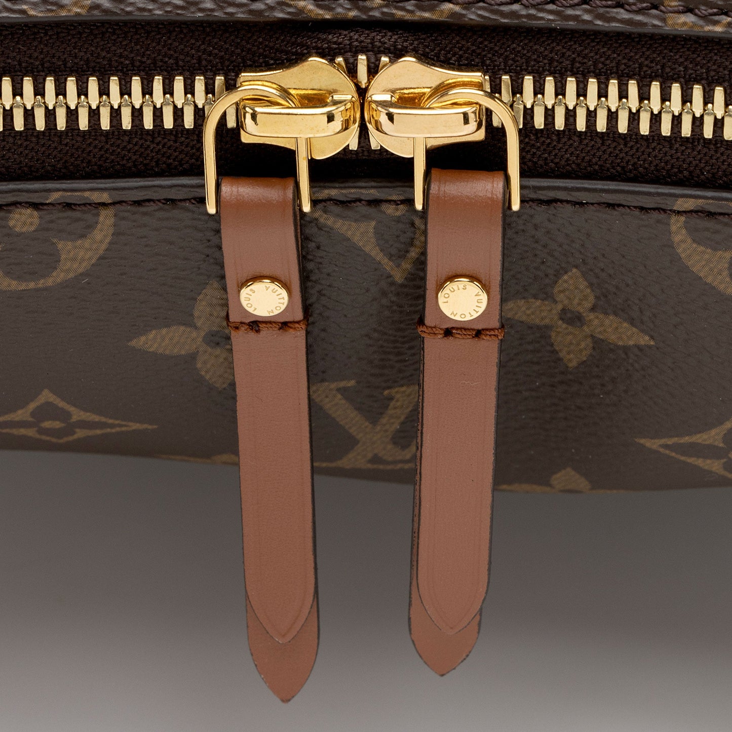 Louis Vuitton Monogram Canvas Loop Hobo (SHF-qc2piY)
