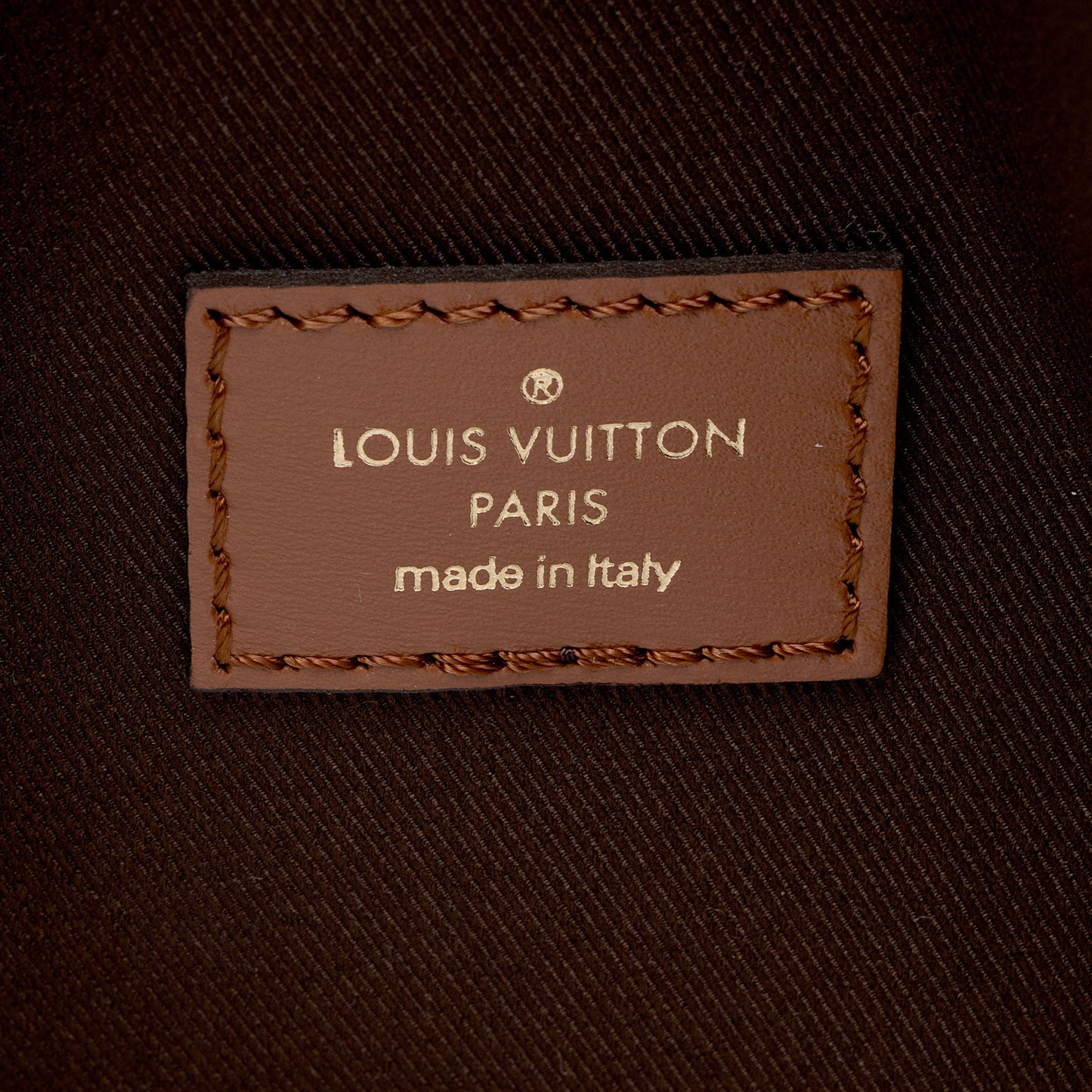 Louis Vuitton Monogram Canvas Loop Hobo (SHF-qc2piY)
