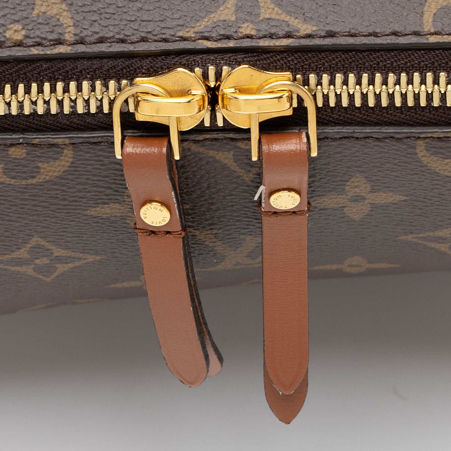 Louis Vuitton Monogram Canvas Loop Hobo (SHF-wexBck)
