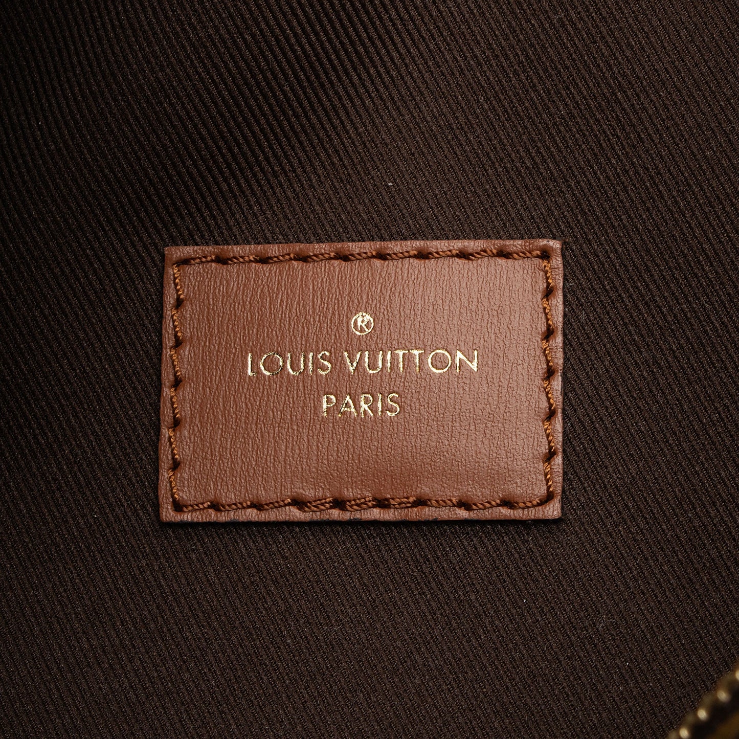 Louis Vuitton Monogram Canvas Loop Hobo (SHF-wexBck)
