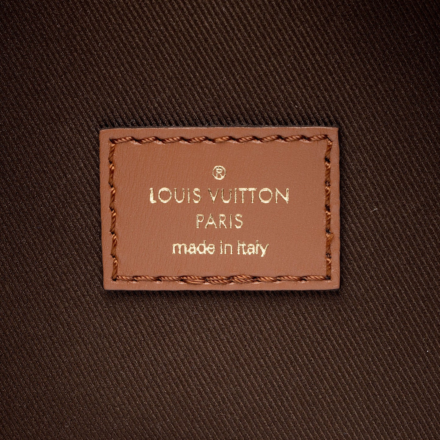 Louis Vuitton Monogram Canvas Loop Hobo (SHF-R02ZNT)