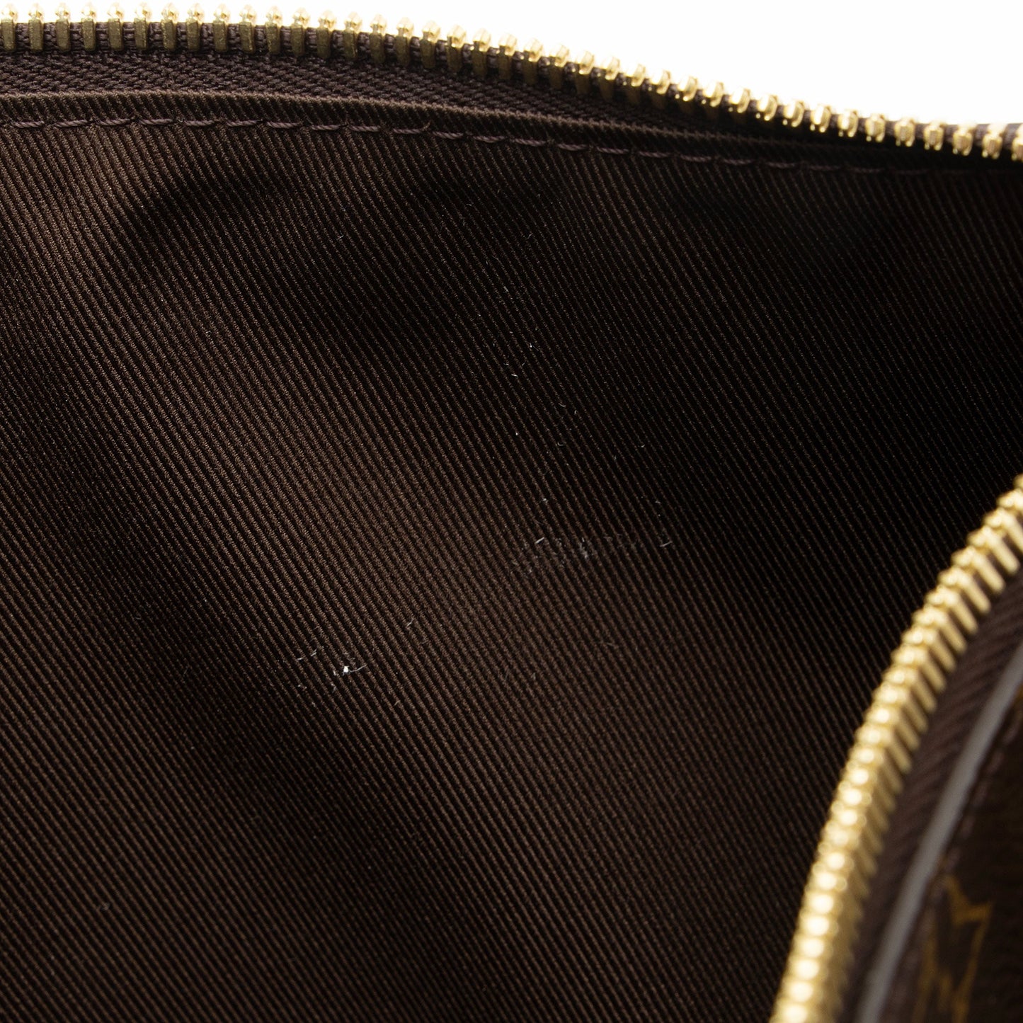 Louis Vuitton Monogram Canvas Loop Hobo (SHF-PKy8bn)